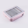 B6 Pink
